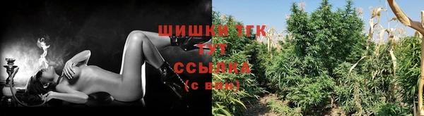 трава Сосновоборск