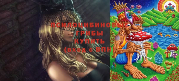 не бодяженный Белокуриха